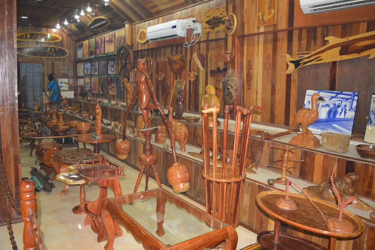 Forest Museum Tour