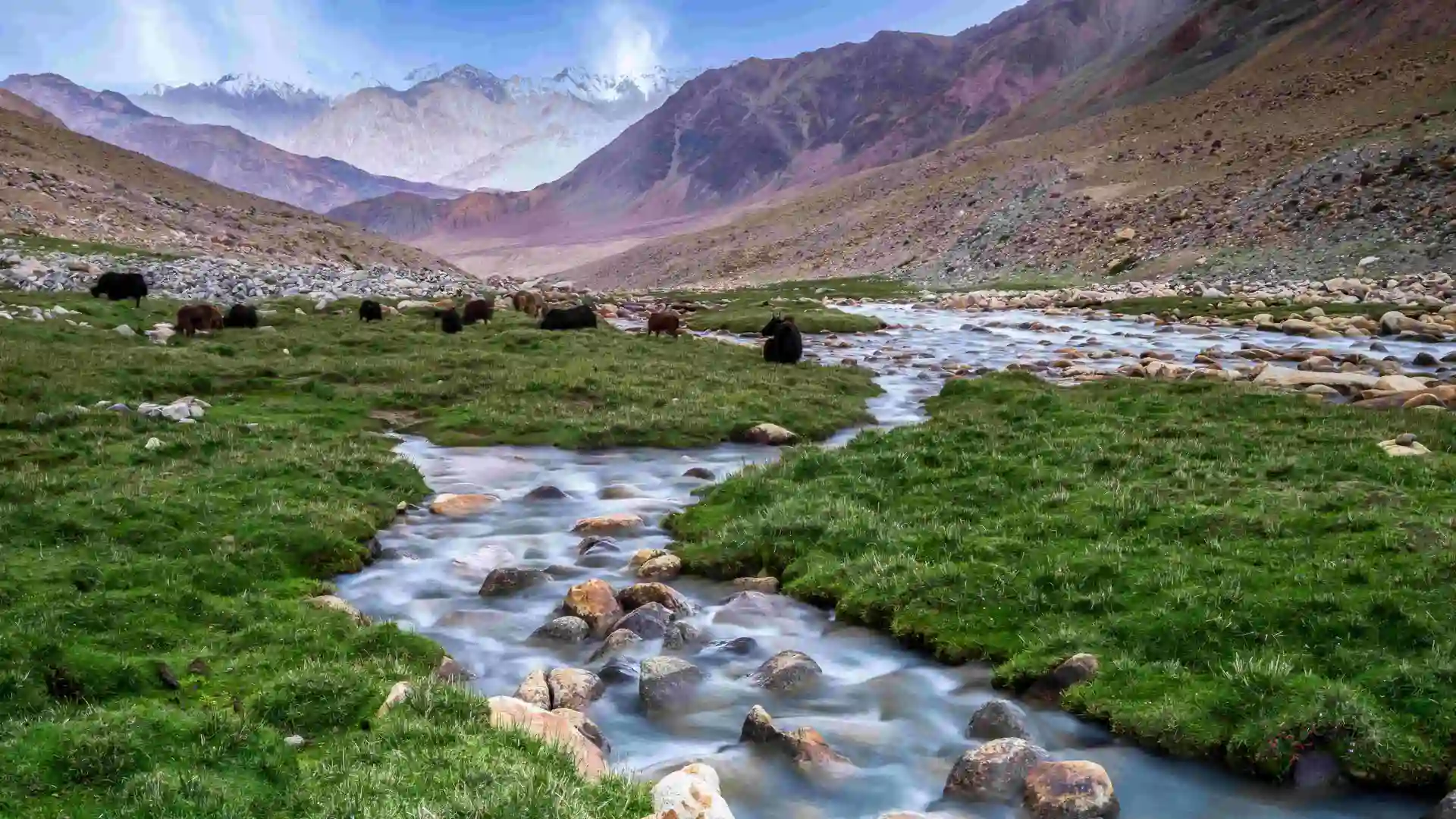 Jammu Tour